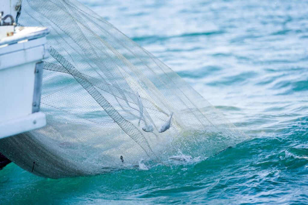 Fishing net in the sea at dawn