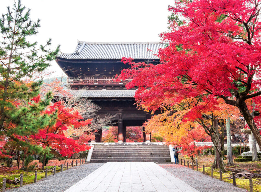 秋天紅葉中的日本佛寺山門